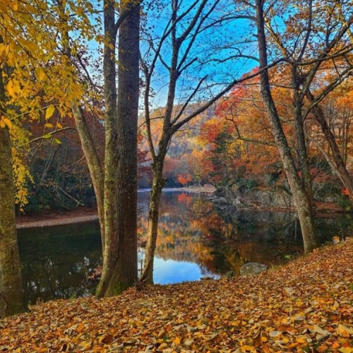 Fall Picture of South Toe River, Toe River Campground, Yancey County, NC